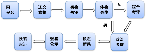 网上报名,初检初审,体检身体,换装起运,张榜公示,预定新兵,政治考核,综合考评,送交表格,男,女